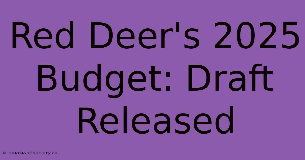 Red Deer's 2025 Budget: Draft Released 