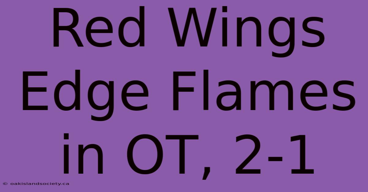 Red Wings Edge Flames In OT, 2-1