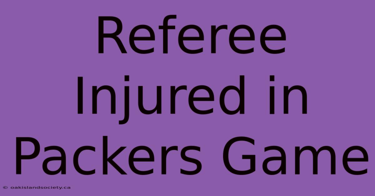 Referee Injured In Packers Game