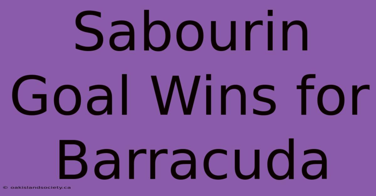 Sabourin Goal Wins For Barracuda