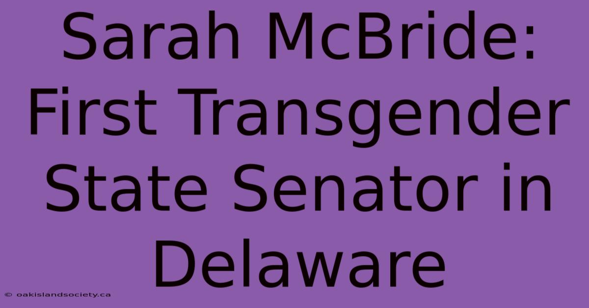 Sarah McBride: First Transgender State Senator In Delaware 