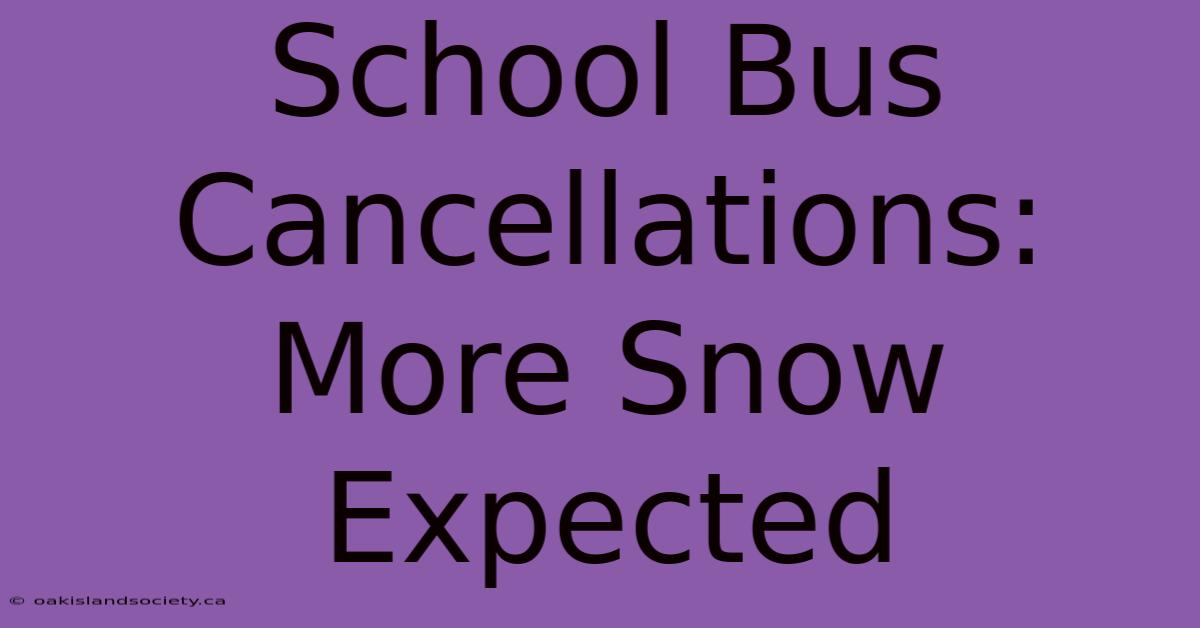 School Bus Cancellations: More Snow Expected