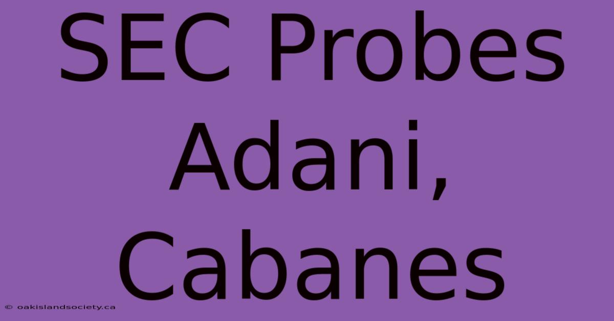 SEC Probes Adani, Cabanes