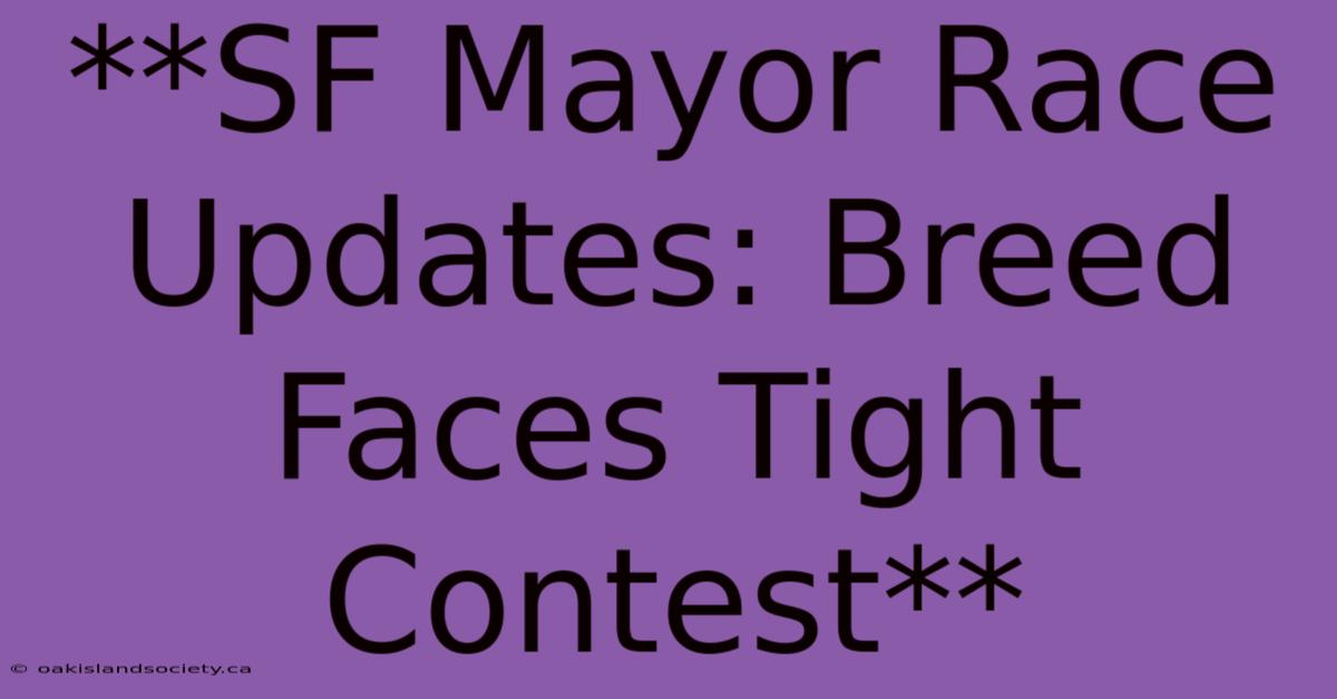 **SF Mayor Race Updates: Breed Faces Tight Contest** 