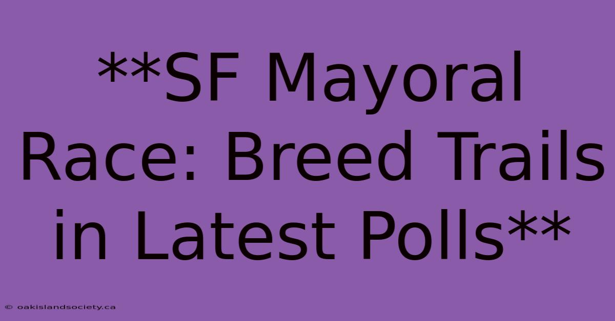 **SF Mayoral Race: Breed Trails In Latest Polls**