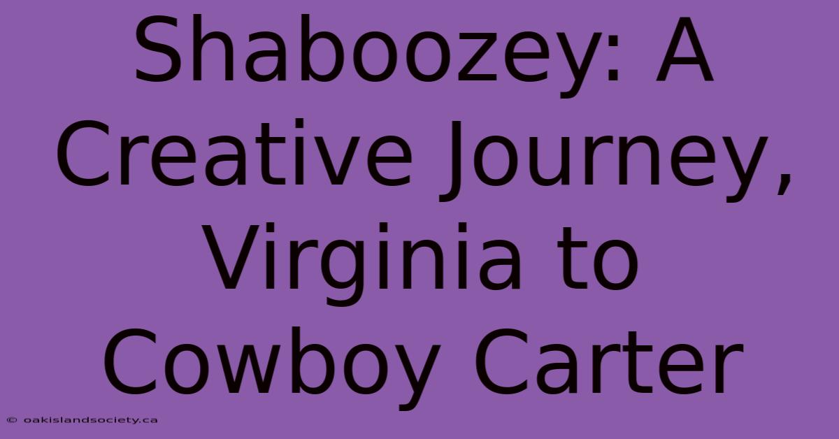 Shaboozey: A Creative Journey, Virginia To Cowboy Carter