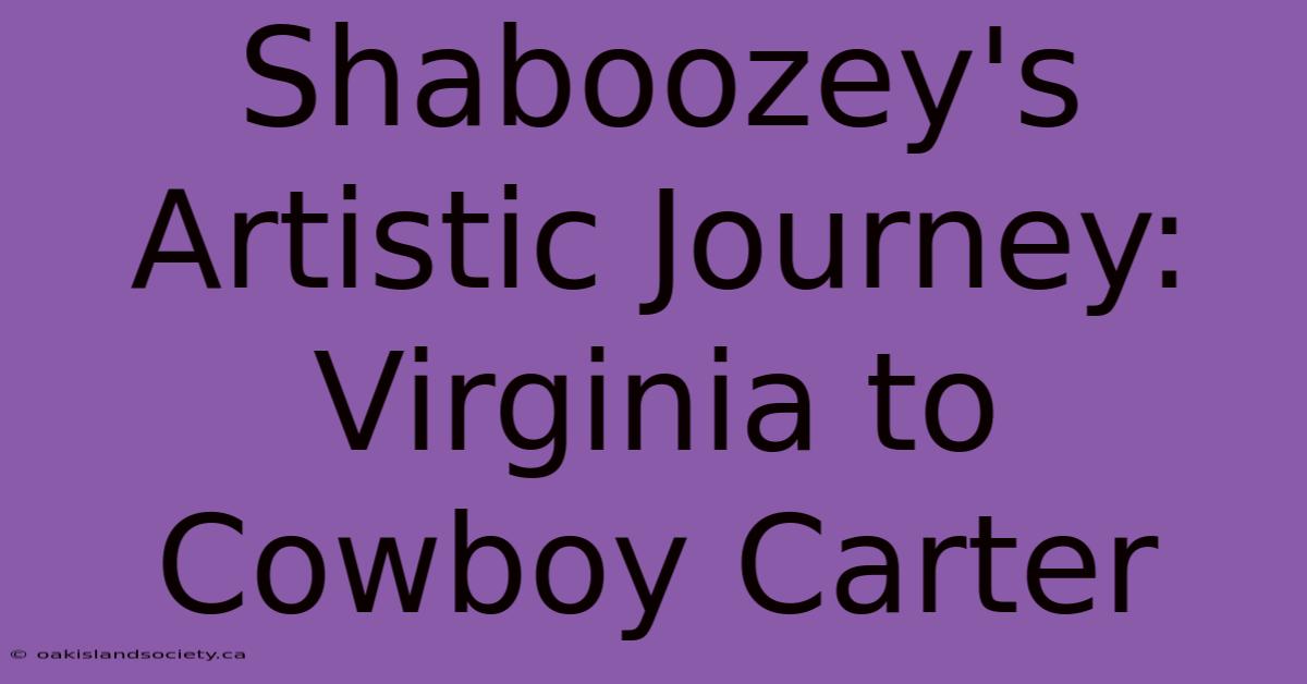 Shaboozey's Artistic Journey: Virginia To Cowboy Carter