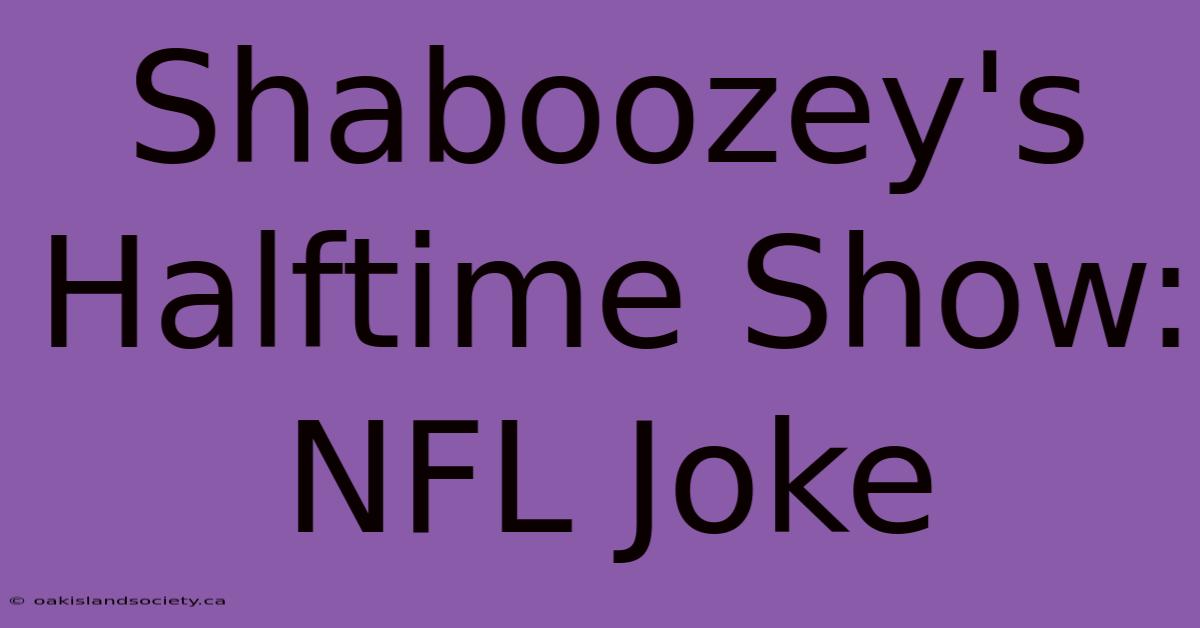 Shaboozey's Halftime Show: NFL Joke