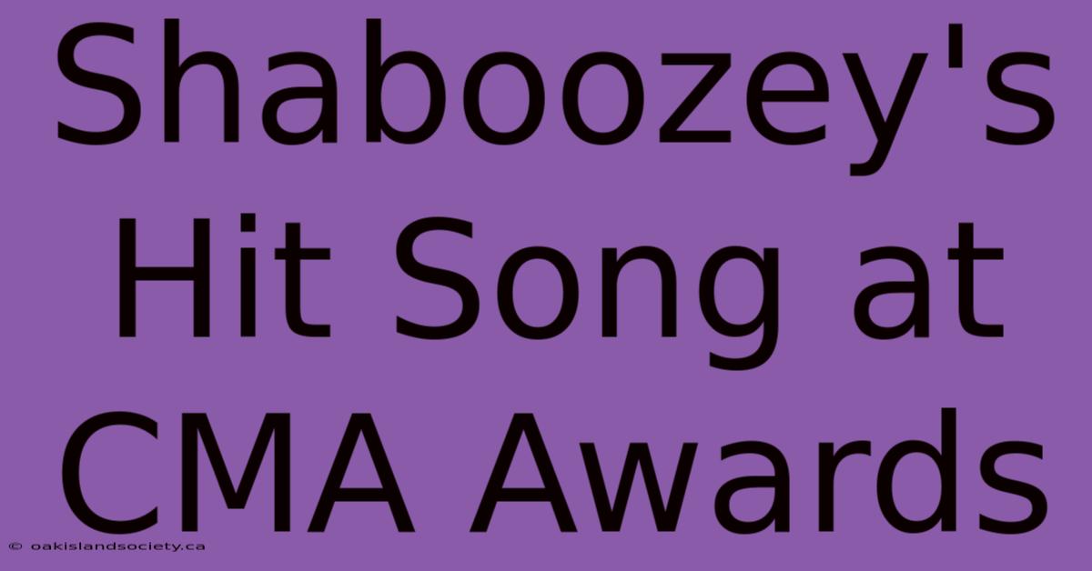 Shaboozey's Hit Song At CMA Awards