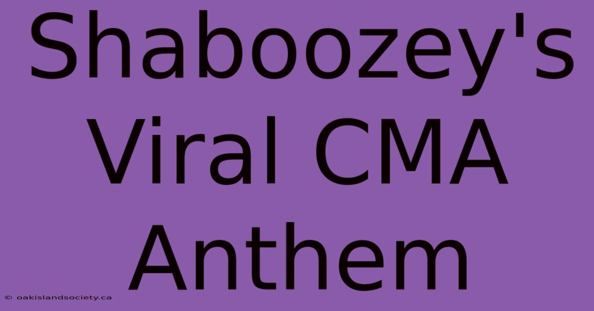 Shaboozey's Viral CMA Anthem