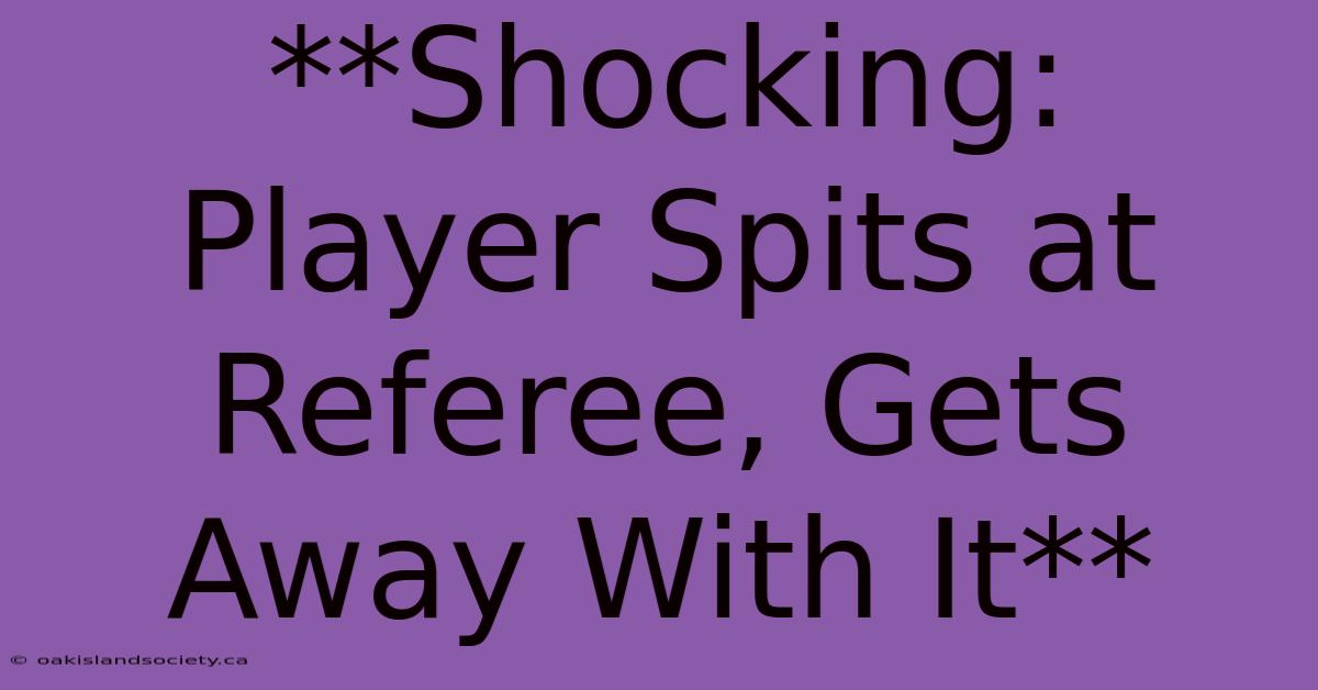 **Shocking: Player Spits At Referee, Gets Away With It**