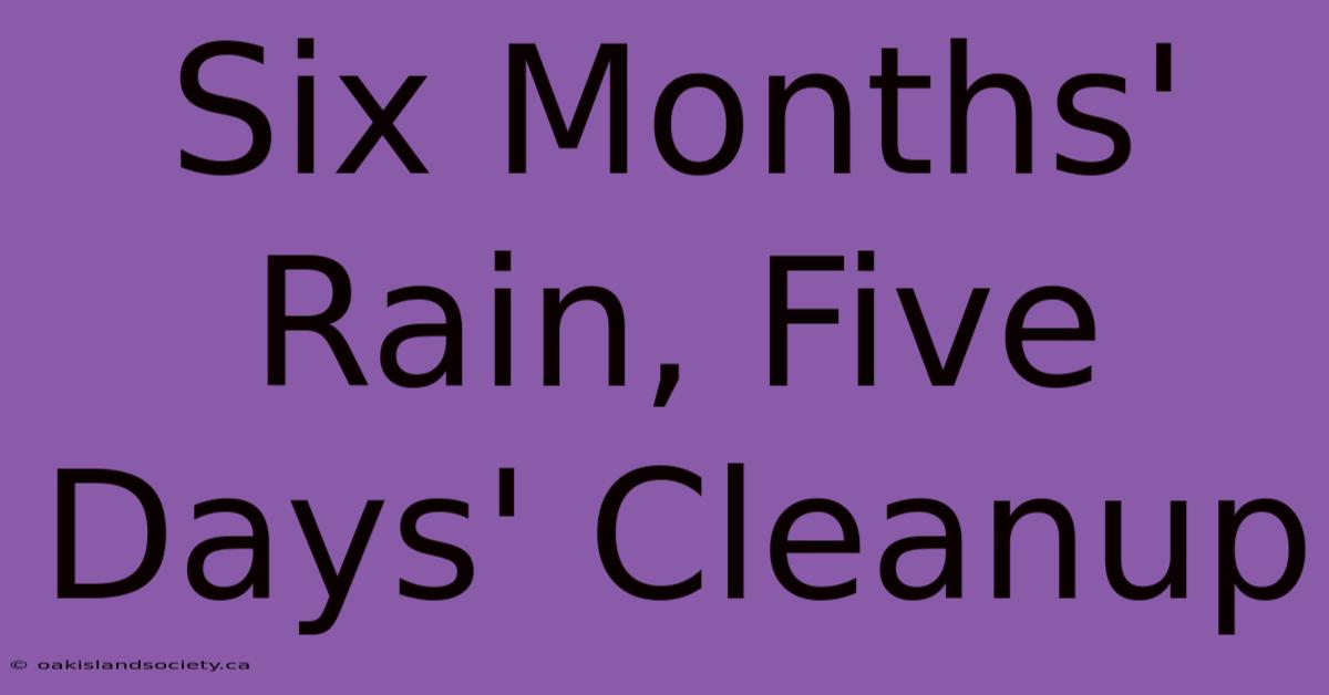 Six Months' Rain, Five Days' Cleanup