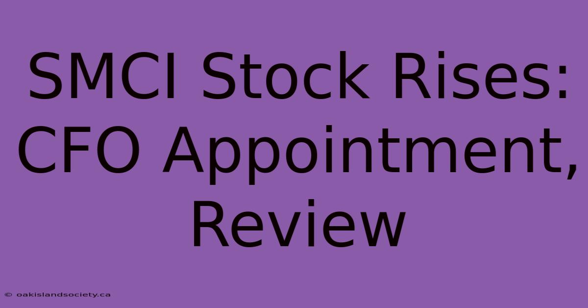 SMCI Stock Rises: CFO Appointment, Review