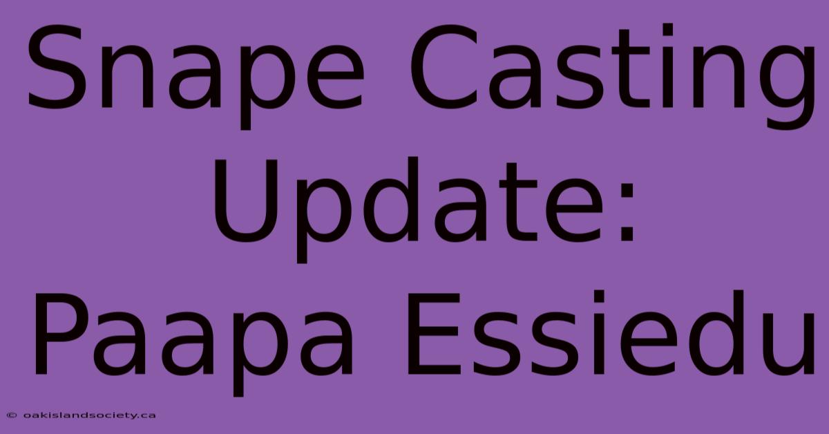 Snape Casting Update: Paapa Essiedu