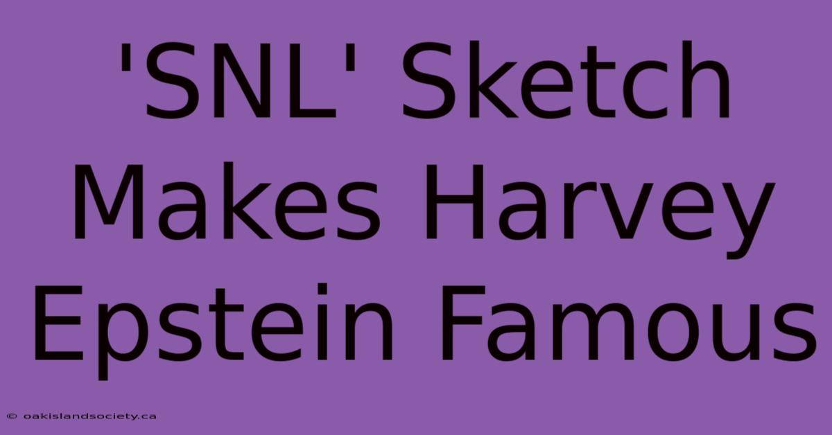 'SNL' Sketch Makes Harvey Epstein Famous