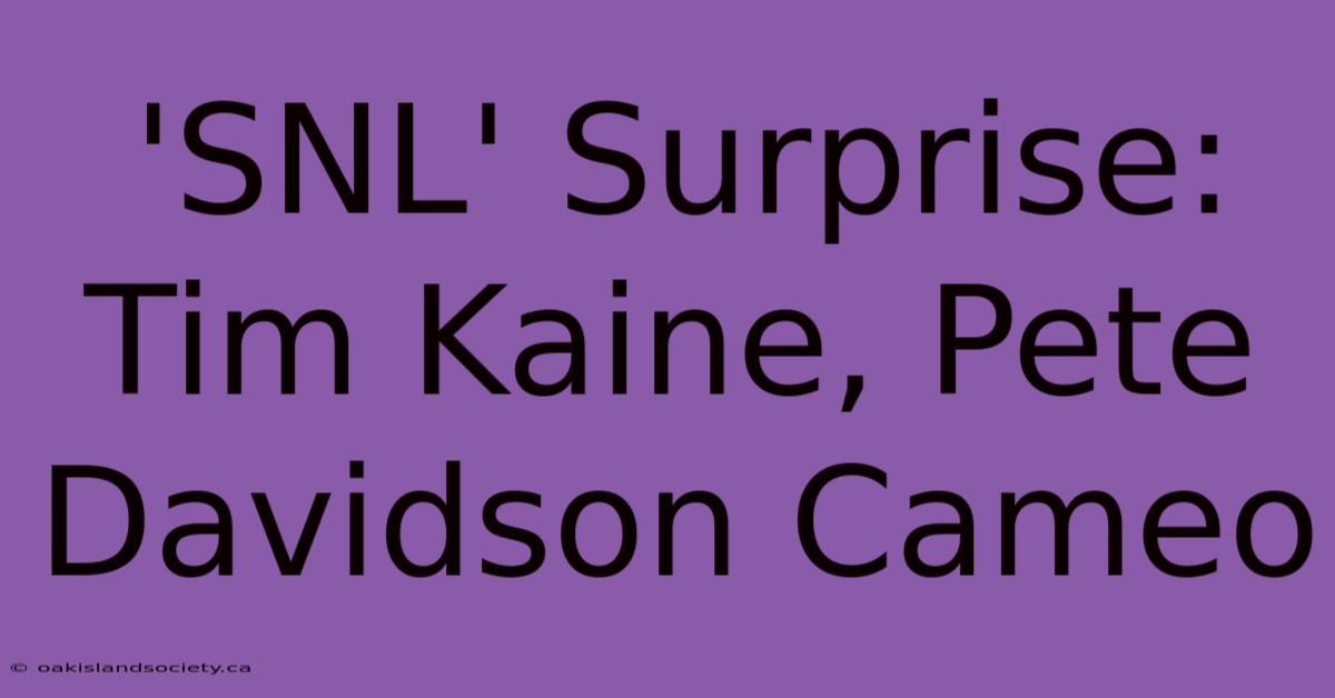 'SNL' Surprise: Tim Kaine, Pete Davidson Cameo 