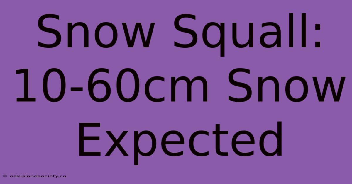 Snow Squall: 10-60cm Snow Expected