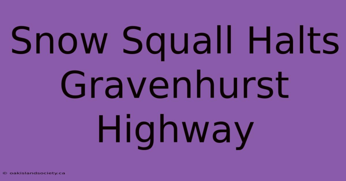 Snow Squall Halts Gravenhurst Highway