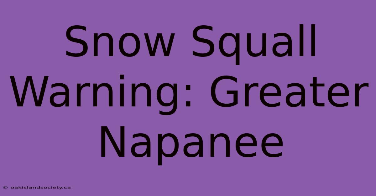 Snow Squall Warning: Greater Napanee