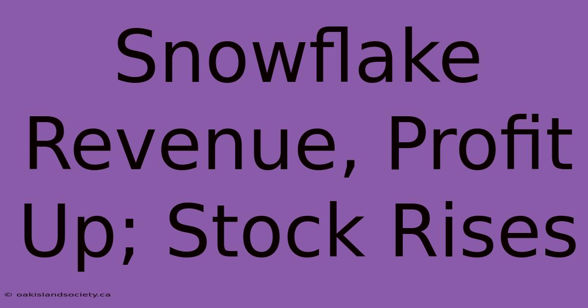 Snowflake Revenue, Profit Up; Stock Rises