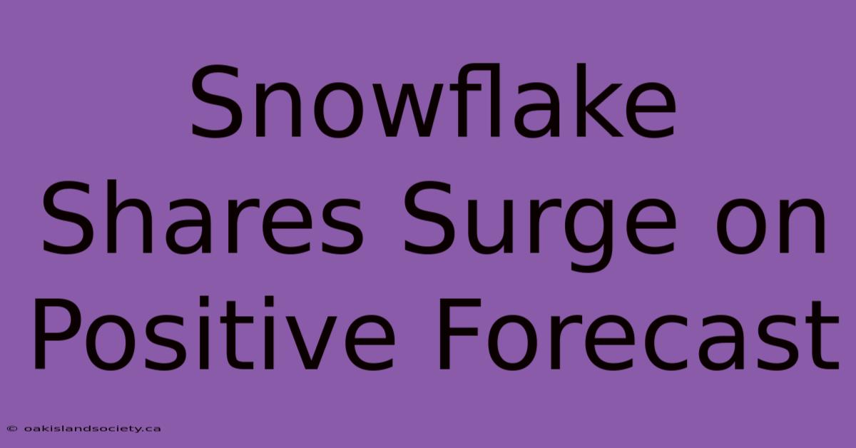 Snowflake Shares Surge On Positive Forecast