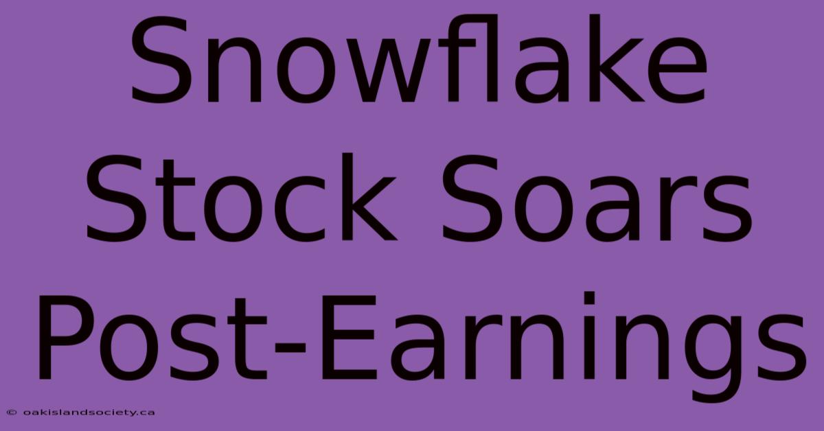 Snowflake Stock Soars Post-Earnings