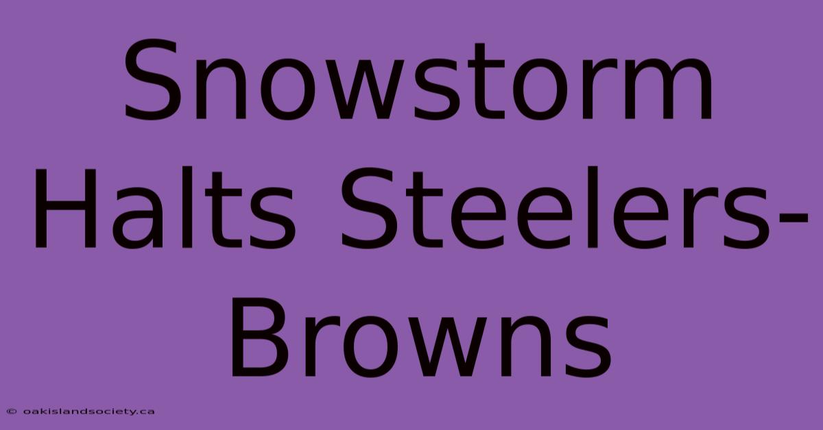 Snowstorm Halts Steelers-Browns