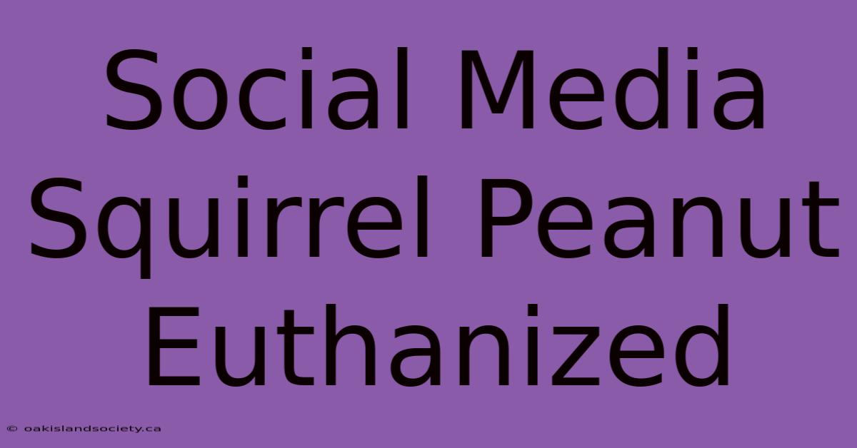 Social Media Squirrel Peanut Euthanized