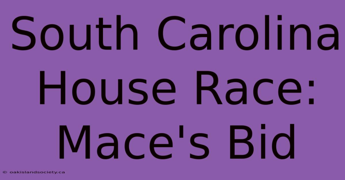 South Carolina House Race: Mace's Bid 