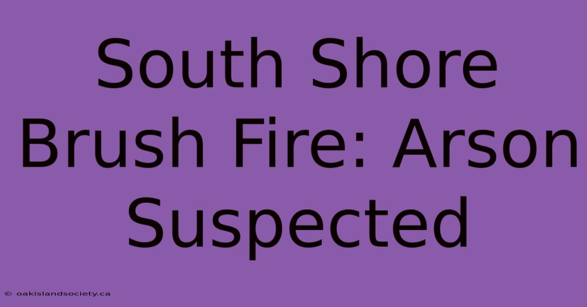 South Shore Brush Fire: Arson Suspected