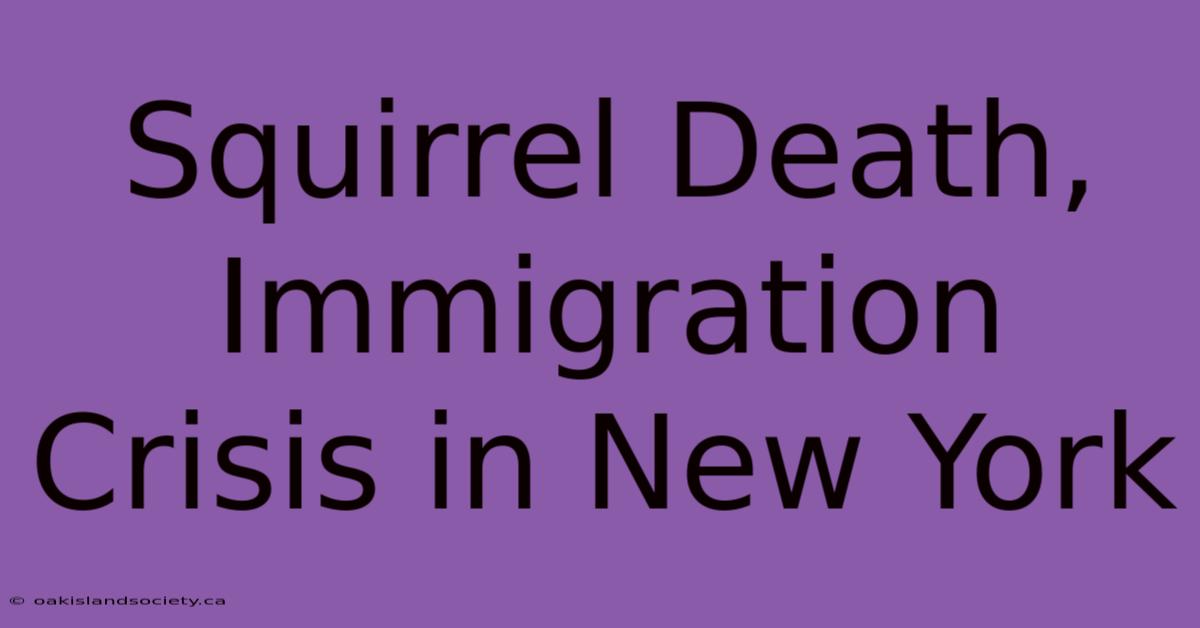 Squirrel Death, Immigration Crisis In New York 