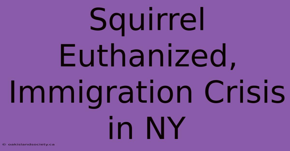 Squirrel Euthanized, Immigration Crisis In NY 