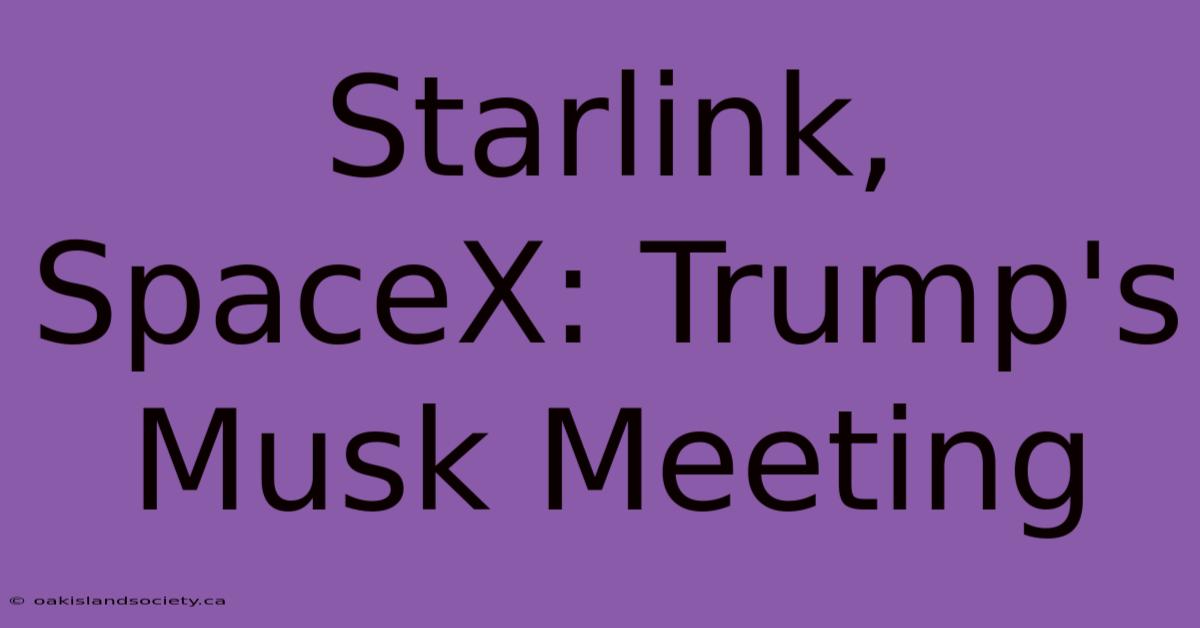 Starlink, SpaceX: Trump's Musk Meeting 