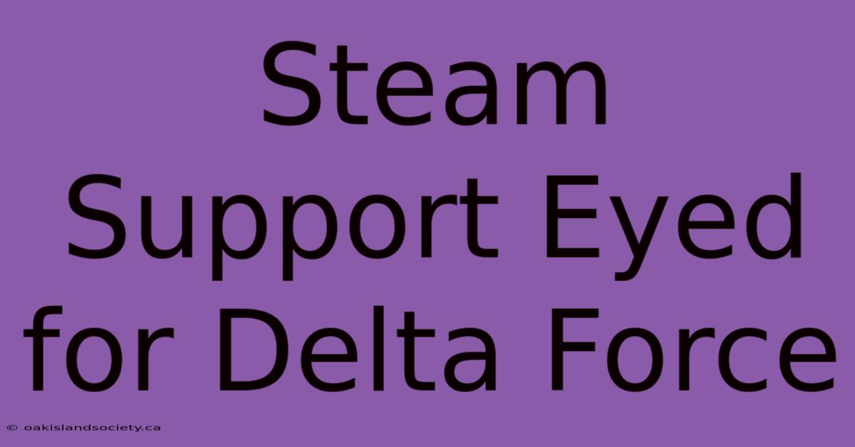 Steam Support Eyed For Delta Force