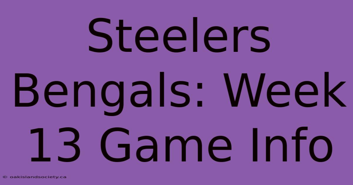 Steelers Bengals: Week 13 Game Info