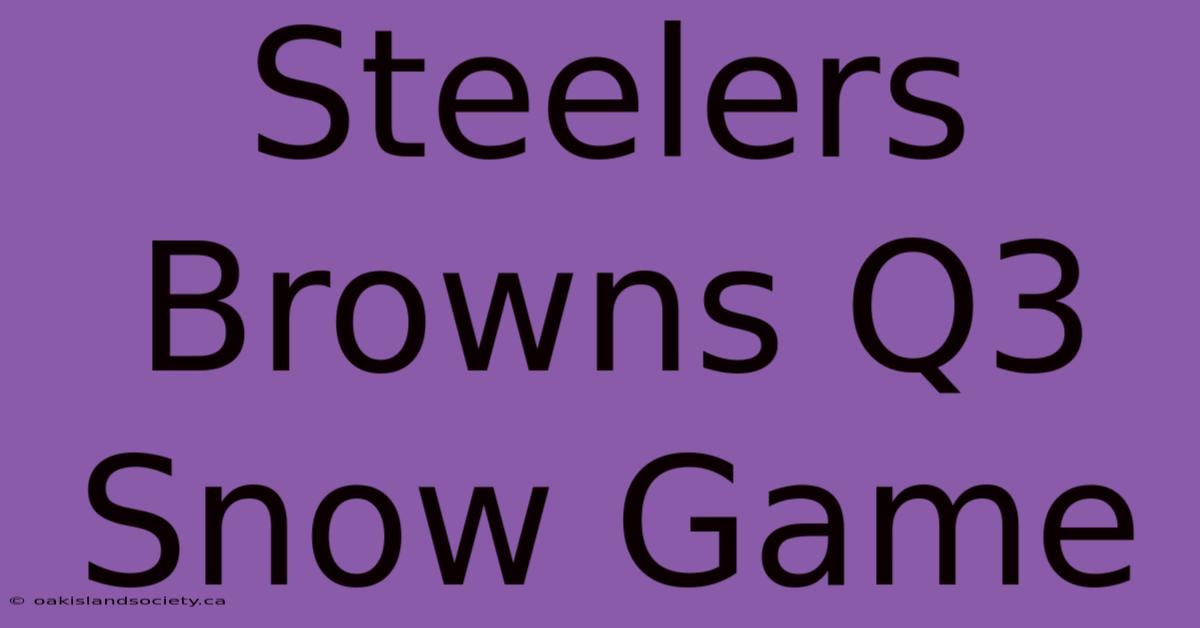 Steelers Browns Q3 Snow Game