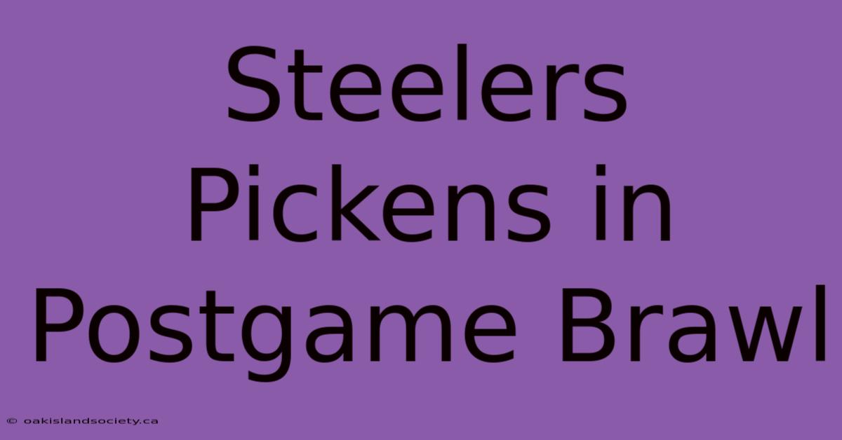 Steelers Pickens In Postgame Brawl