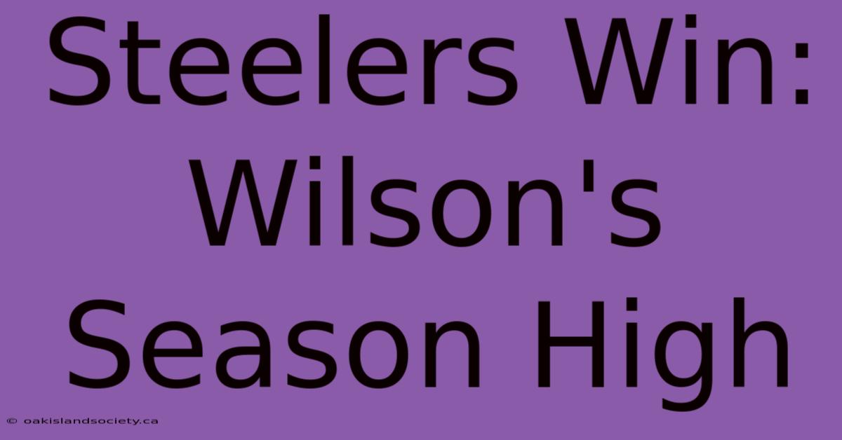 Steelers Win: Wilson's Season High