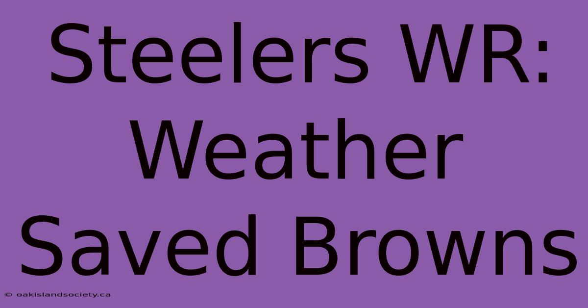 Steelers WR: Weather Saved Browns