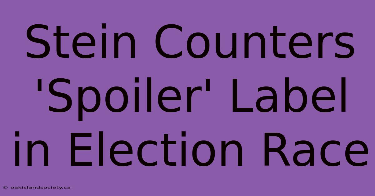 Stein Counters 'Spoiler' Label In Election Race 