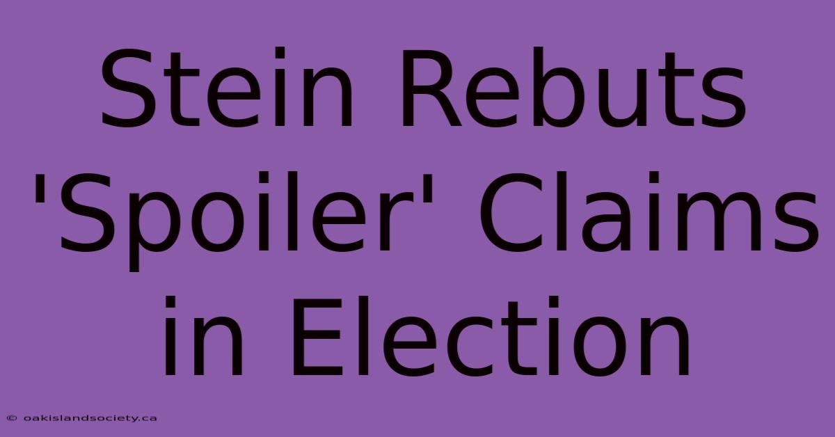 Stein Rebuts 'Spoiler' Claims In Election