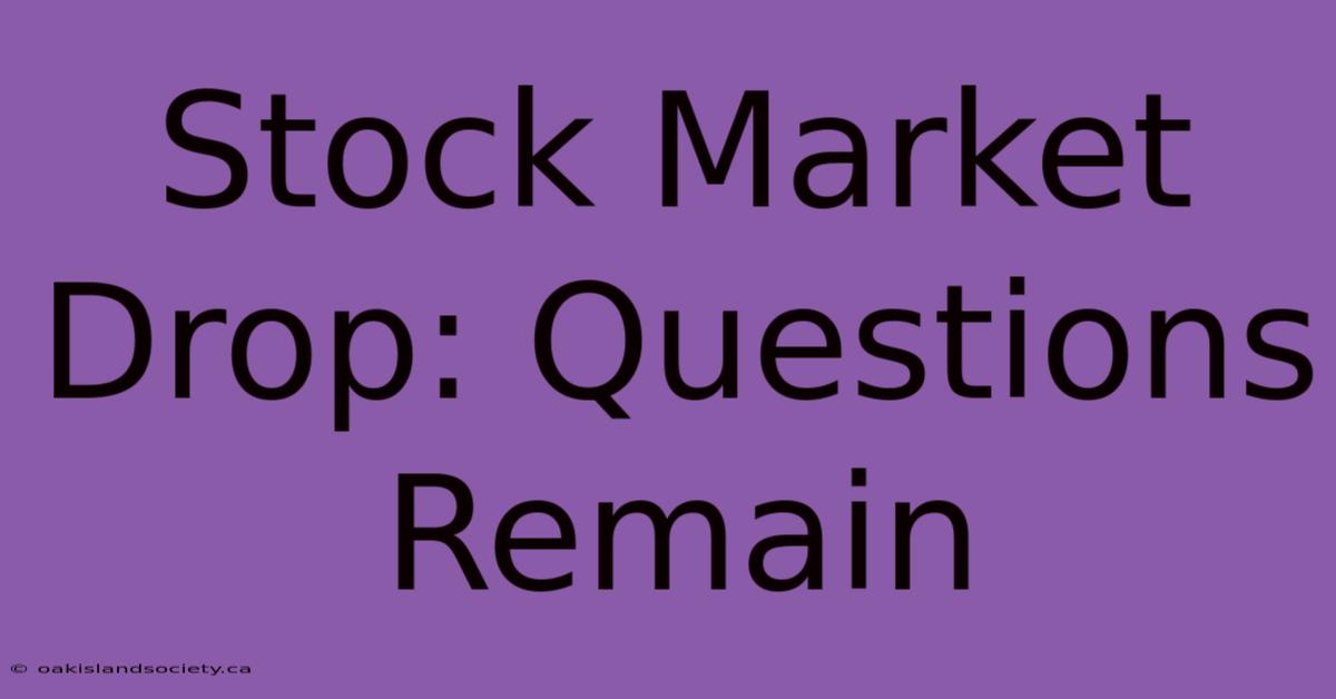 Stock Market Drop: Questions Remain