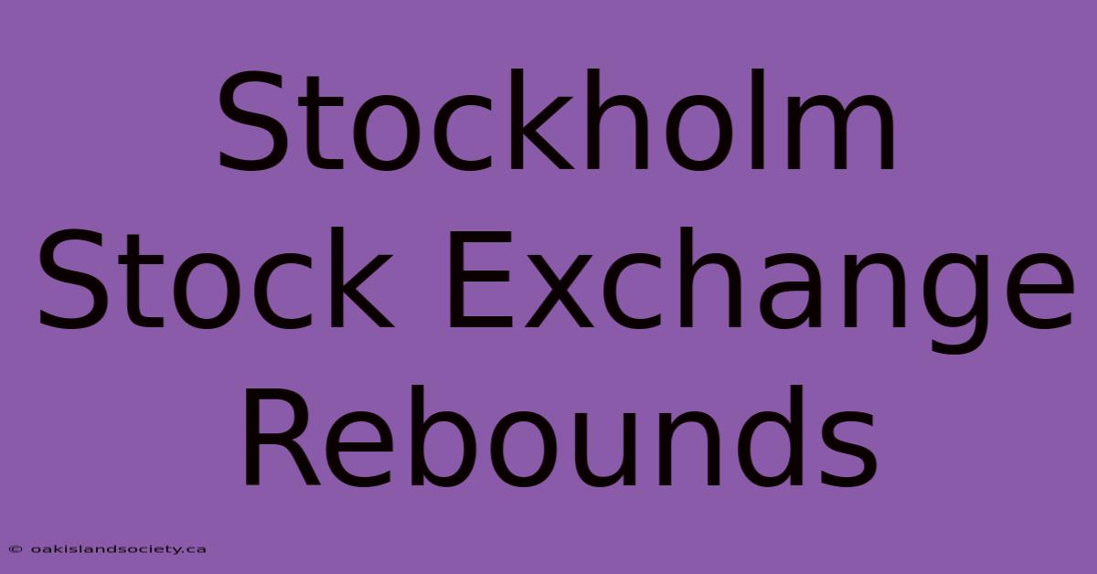 Stockholm Stock Exchange Rebounds