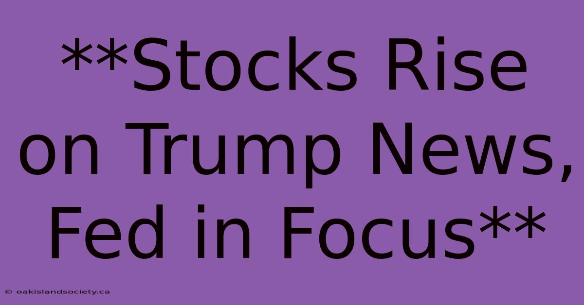 **Stocks Rise On Trump News, Fed In Focus**