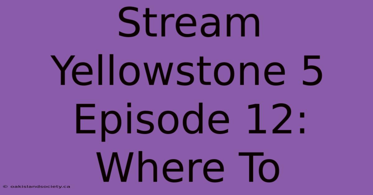 Stream Yellowstone 5 Episode 12: Where To