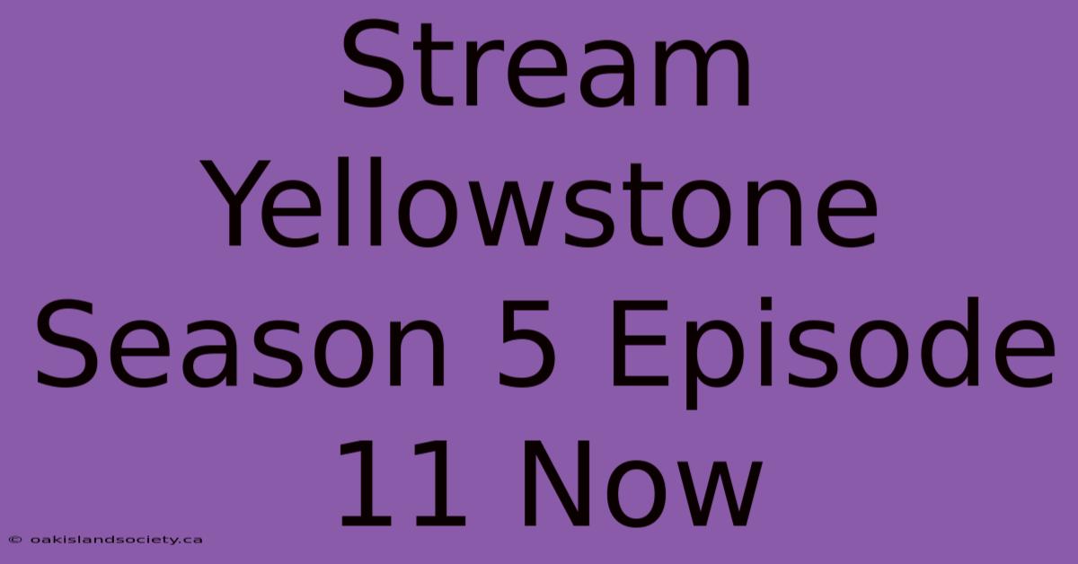 Stream Yellowstone Season 5 Episode 11 Now