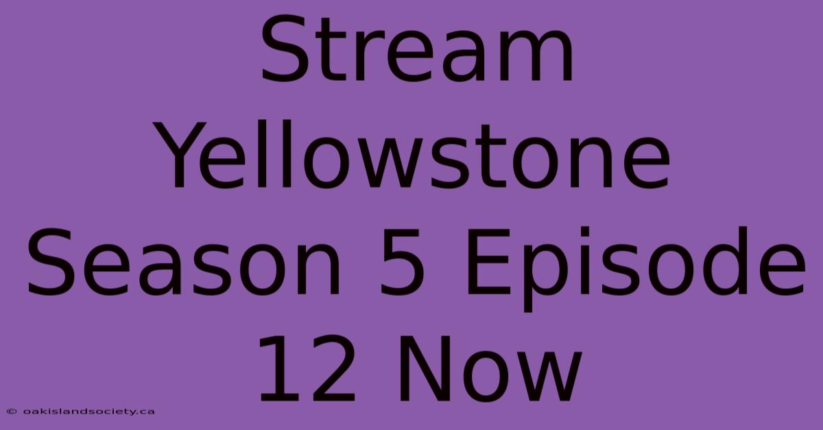 Stream Yellowstone Season 5 Episode 12 Now