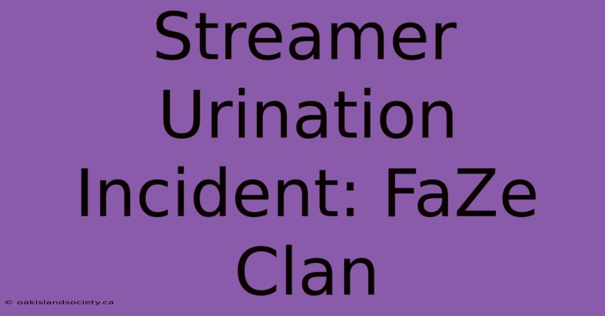 Streamer Urination Incident: FaZe Clan