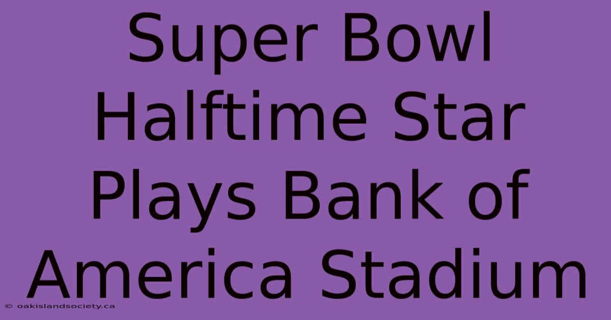 Super Bowl Halftime Star Plays Bank Of America Stadium