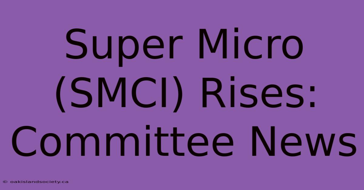 Super Micro (SMCI) Rises: Committee News